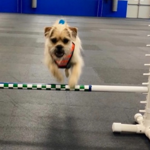 Meet your Posher, Lyn Richards Pawlowski - Picture 3 of 15